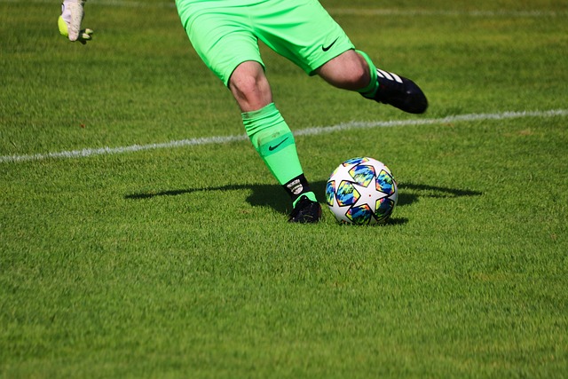 不仅因为他 不仅因为他