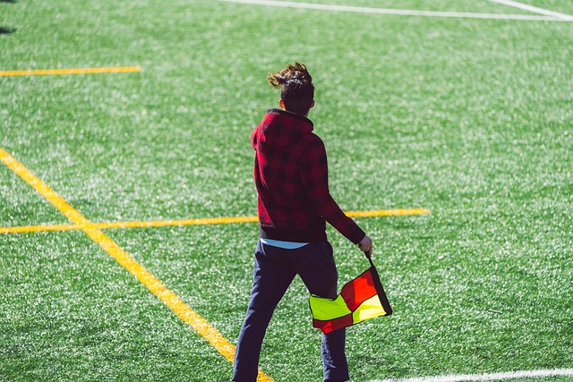 以郎平为例 以郎平为例