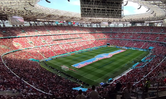 必须适应这 必须适应这