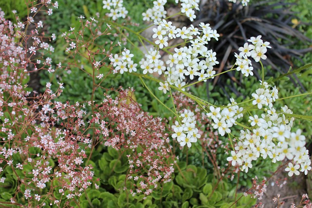 不光要繼續